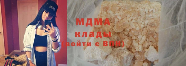 индика Пестово
