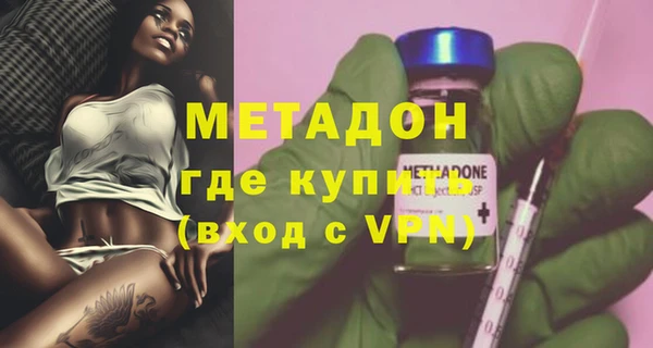 индика Пестово