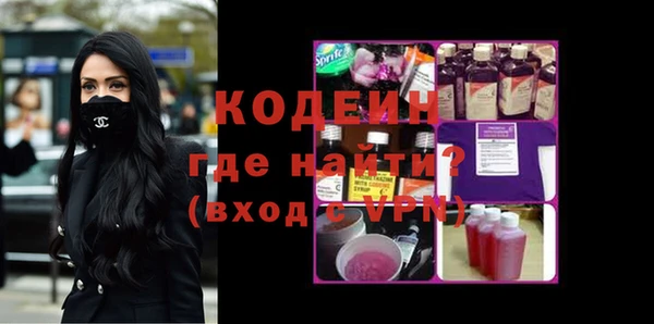 индика Пестово