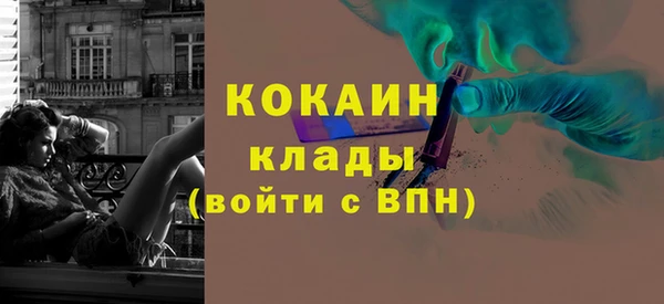 индика Пестово