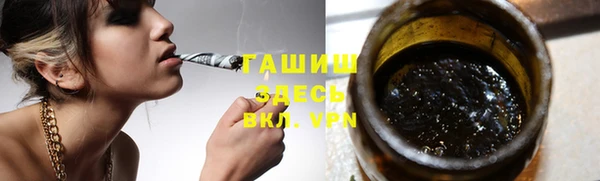 индика Пестово