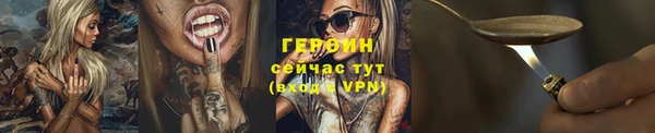 индика Пестово