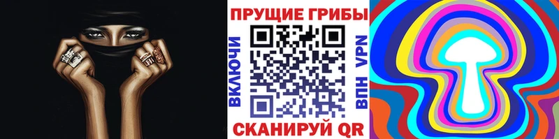 Псилоцибиновые грибы Psilocybe blacksprut онион Владикавказ