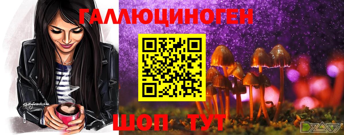 Владикавказ  Галлюциногенные грибы Psilocybe  Галлюциногенные грибы Magic Shrooms  Вход с VPN 
